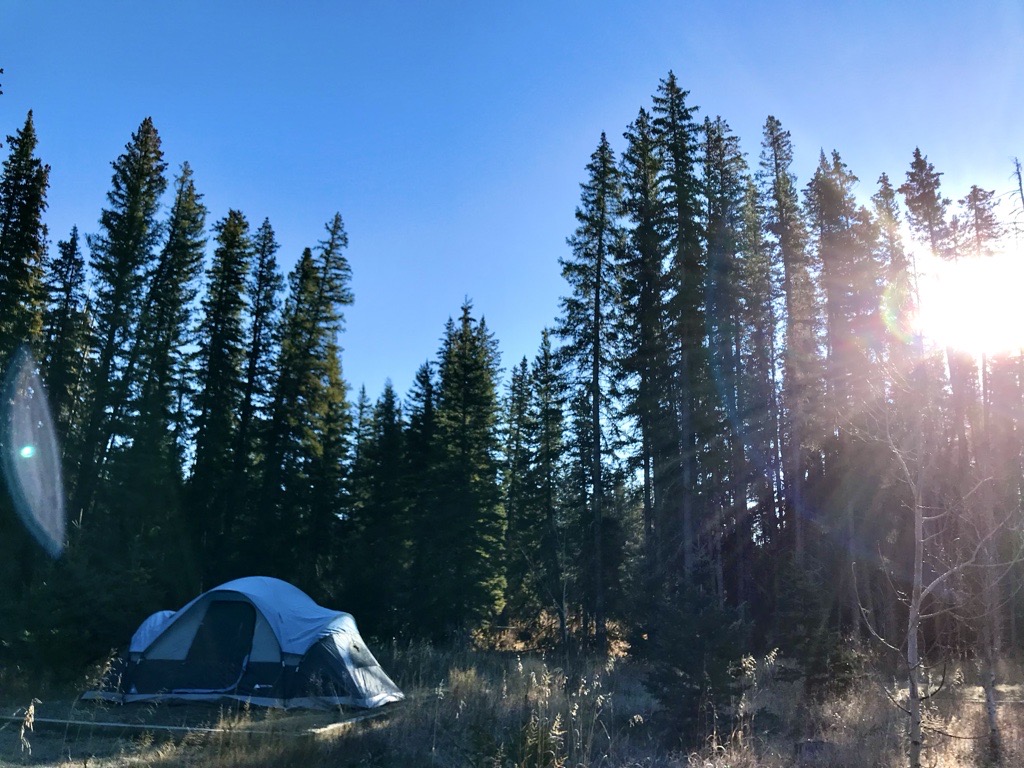 Cypress Hills prepares for eventful camping season